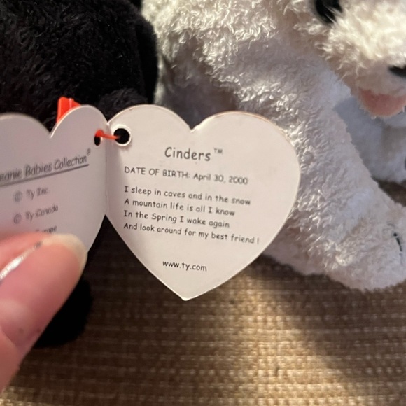 Cinder and Aurora, Beanie Baby Bears - Picture 2 of 3